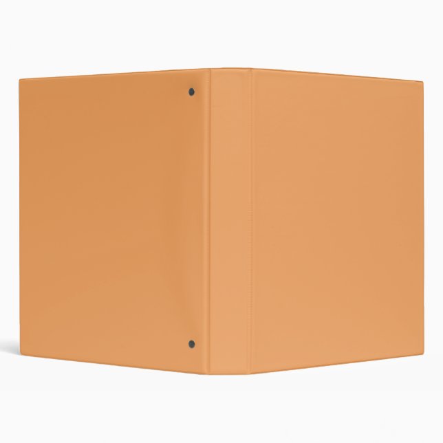 Sandy Brown Solid Colour Binder (Background)