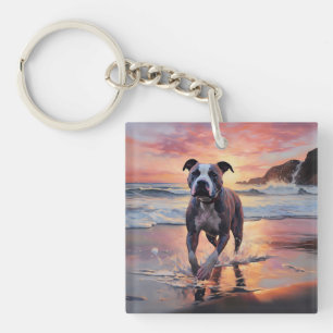 Sandy chien Staffordshire américain sur coucher de