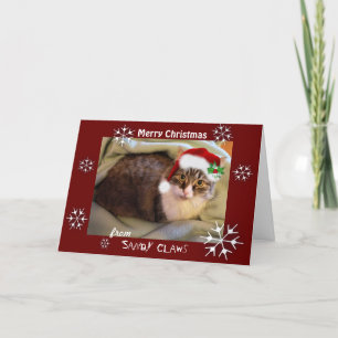 "Sandy Claws" Christmas Card