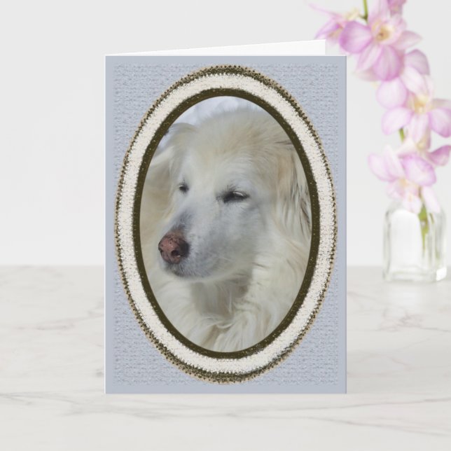 *Sandy Dog - Apology/Sorry Card (Orchid)