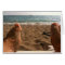 Sandy Feet on the Beach