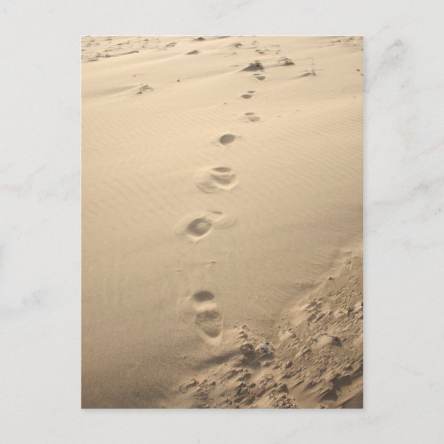 Sandy Footprints Postcard (Front)