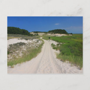 Sandy Neck Beach Marsh Trail Barnstable Cape Cod Postcard