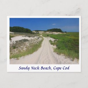 Sandy Neck Marsh Trail, Sandy Neck Beach, Cape Cod Postcard