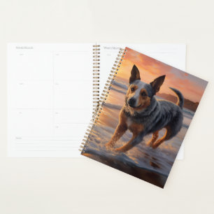 Sandy Paws Australian Cattle Dog on Beach Sunset