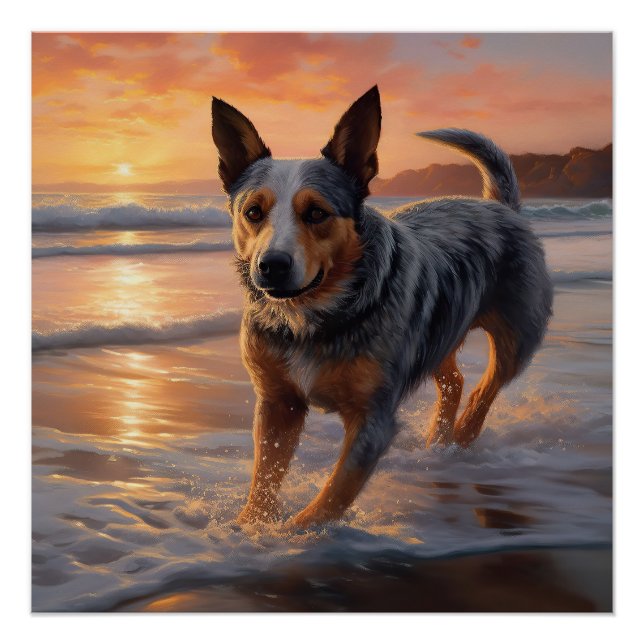 Sandy Paws Australian Cattle Dog on Beach Sunset Poster (Front)
