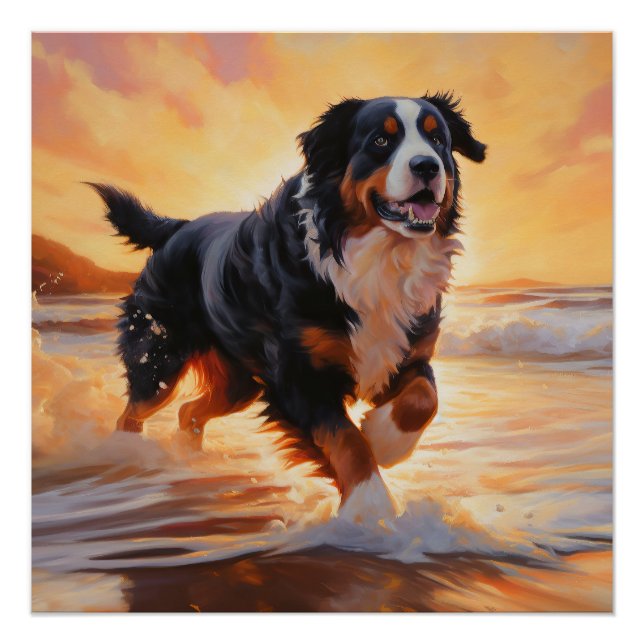 Sandy Paws Bernese Mountain Dog on Beach Sunset  Poster (Front)