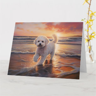 Sandy Paws Bichon Frise Dog on Beach Sunset  Card