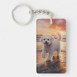 Sandy Paws Bichon Frise Dog sur Beach Sunset