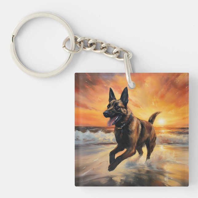 Sandy Paws Chien Malinois Belge sur le coucher du  (Devant)