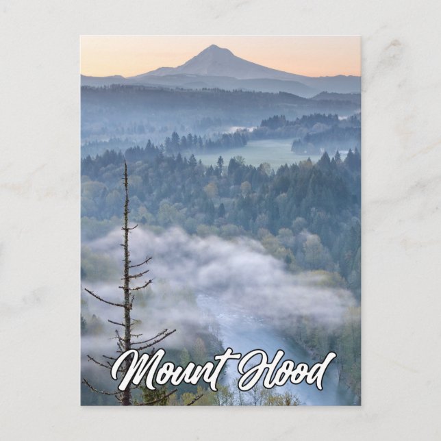 Sandy River And Mount Hood, Oregon, USA Postcard (Front)