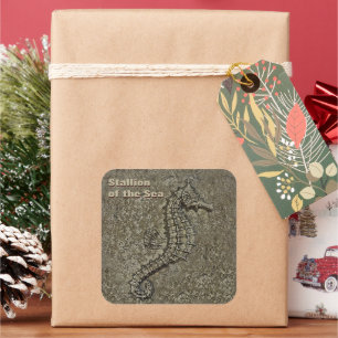Sandy Textured Seahorse Photograph Square Sticker