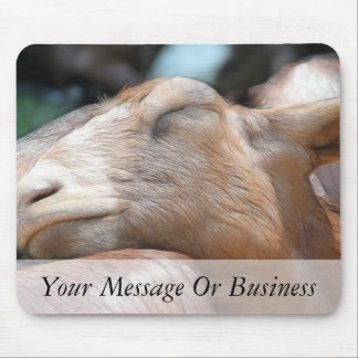 Sandy The Goat - Nap Time! Mouse Pad