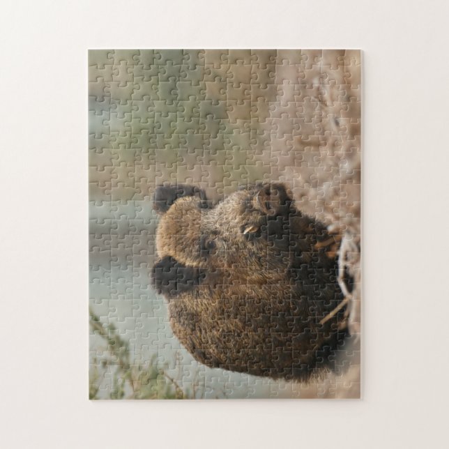Sanglier puzzle (Vertical)
