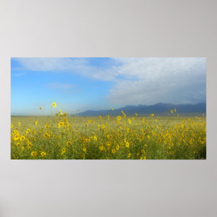 Sangre de Cristo, Great Sand Dunes and flowers Poster