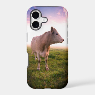 Sangria Sunset Country Cow in Pasture