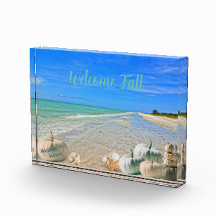 Sanibel Island Florida Beach with Fall Pumpkins   Photo Block