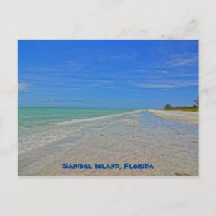 Sanibel Island Florida - Gulf of Mexico Shoreline Postcard