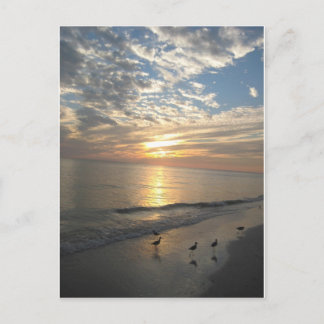 Sanibel Island, Florida Postcard