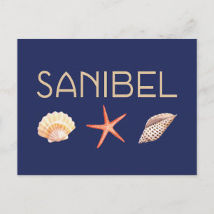 Sanibel Island Seashells Postcard