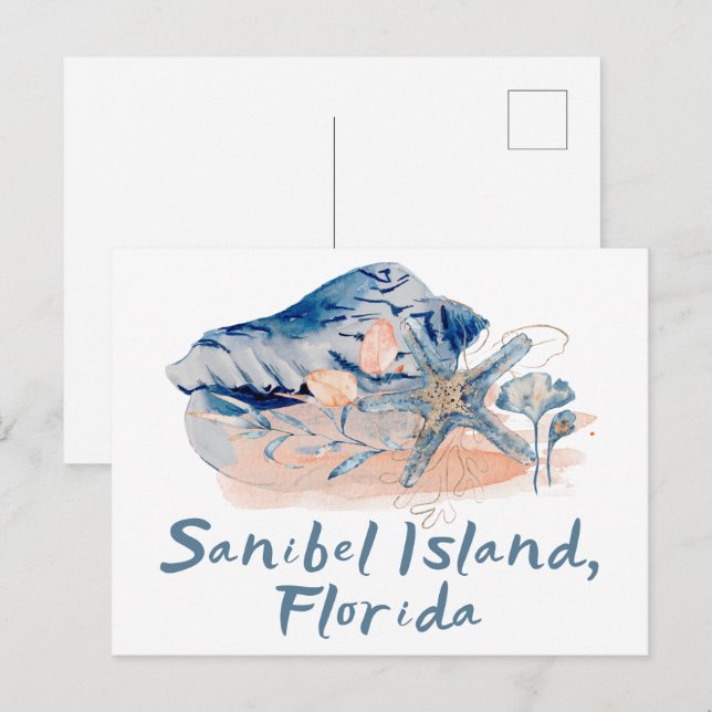 Sanibel Island Seashells  Postcard (Front/Back)