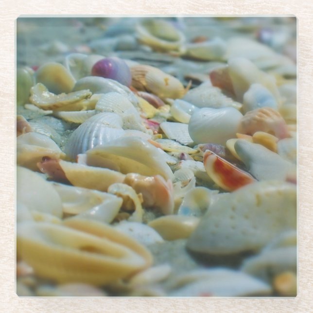 Sanibel Seashells Glass Coaster (Front)