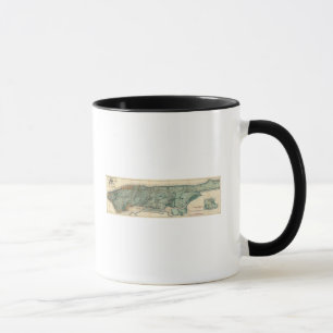 Sanitary and Topographical Map of New York City Mug