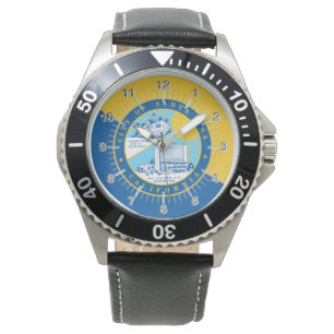 Santa Ana (California) City flag Watch