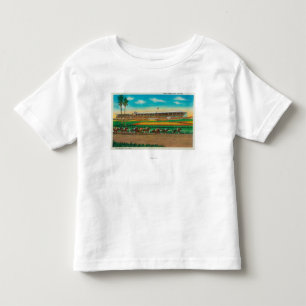 Santa Anita Park Horse RacesArcadia, CA Toddler T-shirt