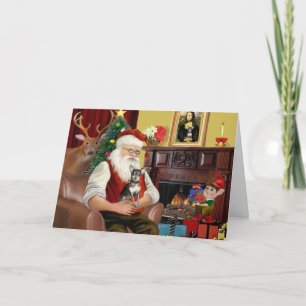 Santa At Home - Chihuahua (Blue-Cream) Holiday Card