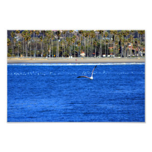 Santa Barbara, CA Photo Print