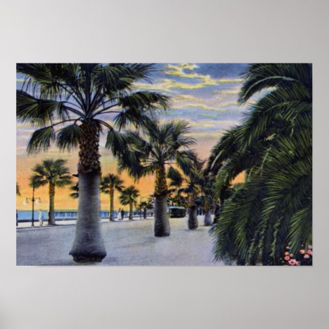 Santa Barbara California Seaside Boulevard Poster (Front)