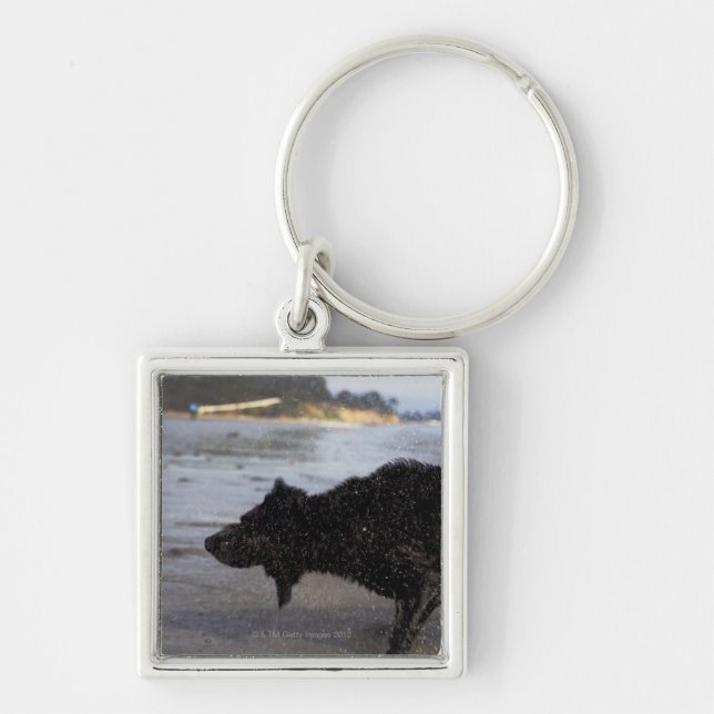 Santa Barbara, California, USA Keychain (Front)