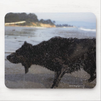 Santa Barbara, California, USA Mouse Pad
