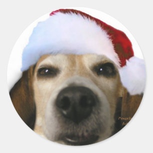 Santa Beagle Sticker