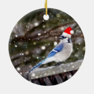 Santa Blue Jay Ceramic Ornament