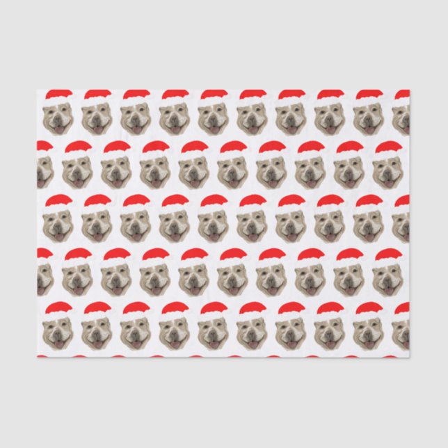 Santa Buddy Tissue Paper (Front)