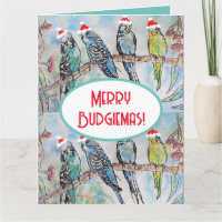 Santa Budgie Christmas Watercolor Painting Bird