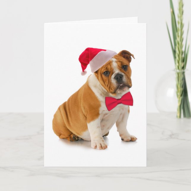 Santa Bulldog Christmas Card (Front)
