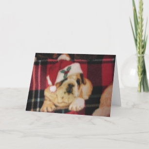 Santa Bulldog Holiday Card