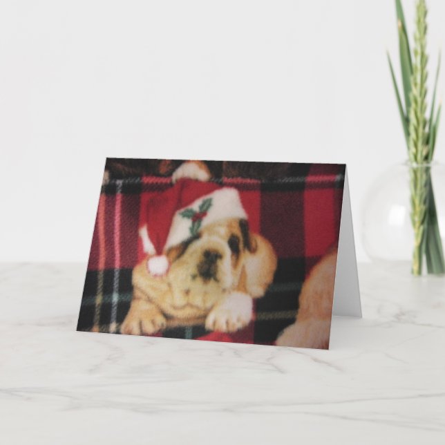 Santa Bulldog Holiday Card (Front)