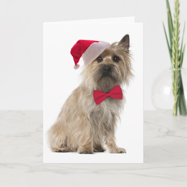 Santa Cairn Terrier Card (Front)