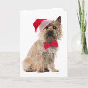 Santa Cairn Terrier Card