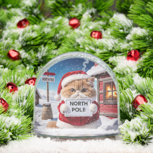 Santa Cat at North Pole or Your Cat Photos  Snowglobe