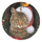 Santa Cat Gift Tag