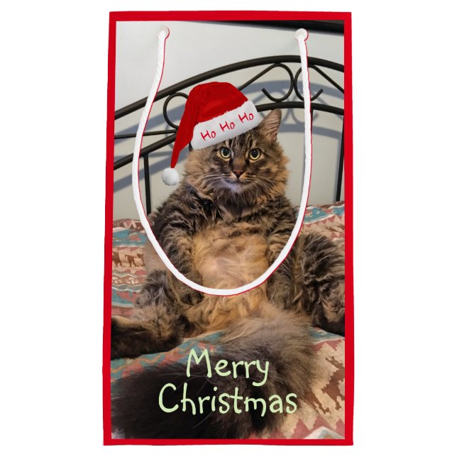 Santa Cat Ho Ho Ho Small Gift Bag (Front)