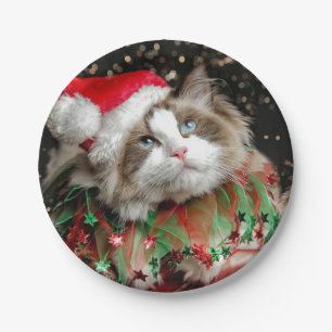 Santa Cat Paper Plate