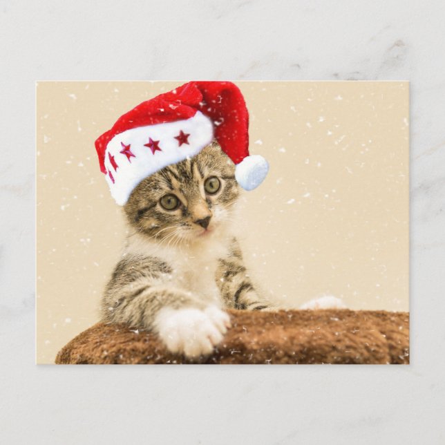Santa Cat Postcard (Front)