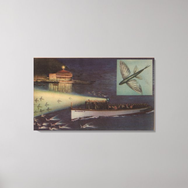 Santa Catalina Island, CA Casino, Flying Fish Canvas Print (Front)