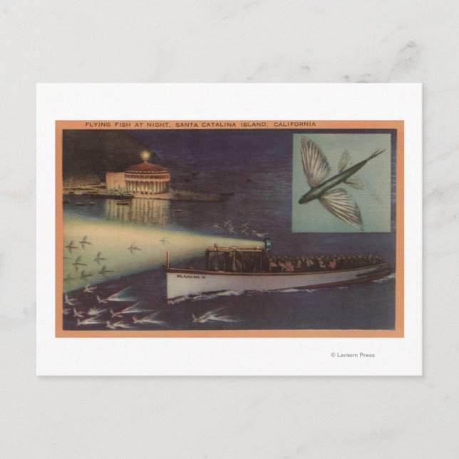 Santa Catalina Island, CA Casino, Flying Fish Postcard (Front)